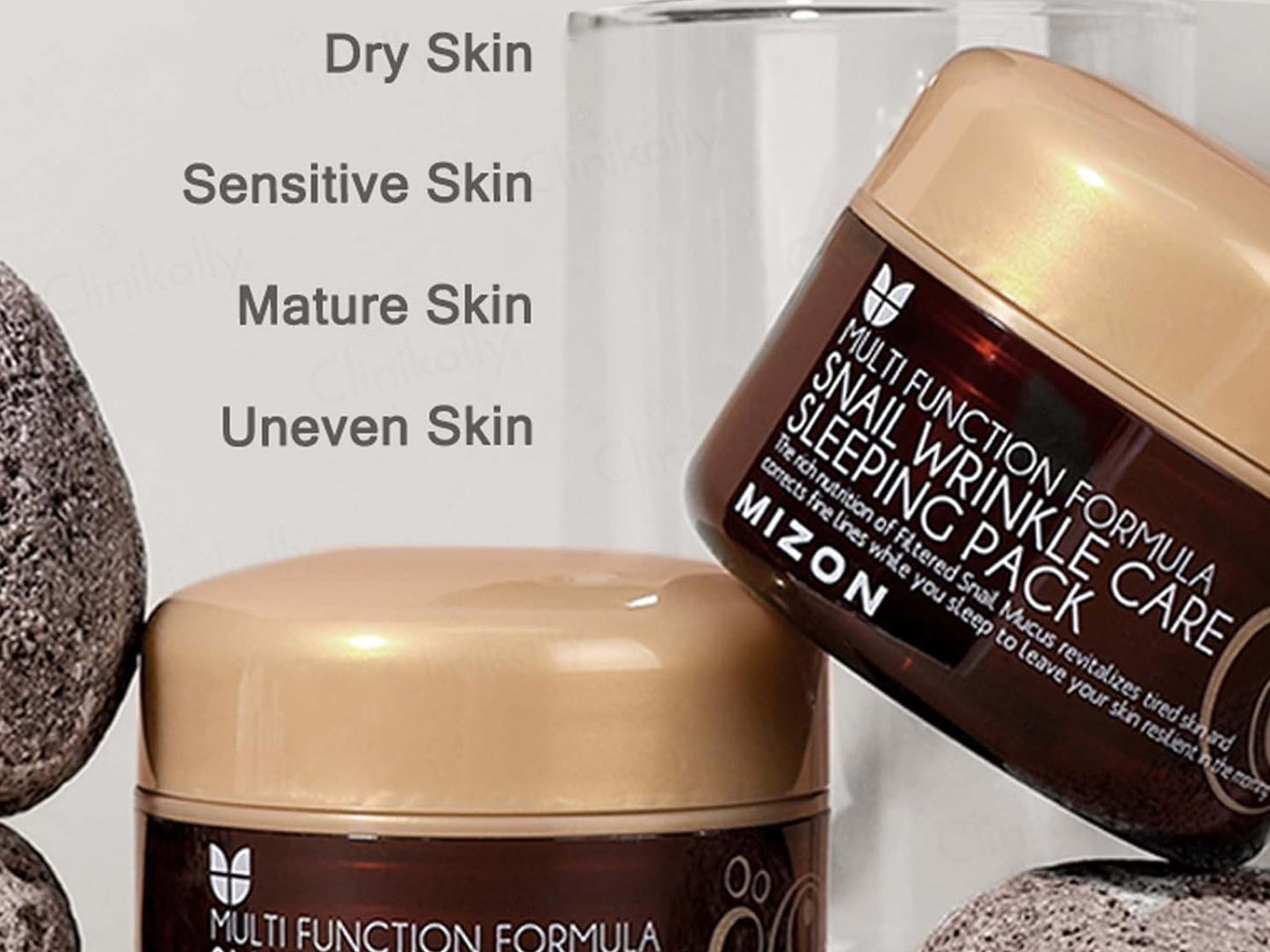 Mizon Multi Function Formula Snail Wrinkle Care Sleeping Pack