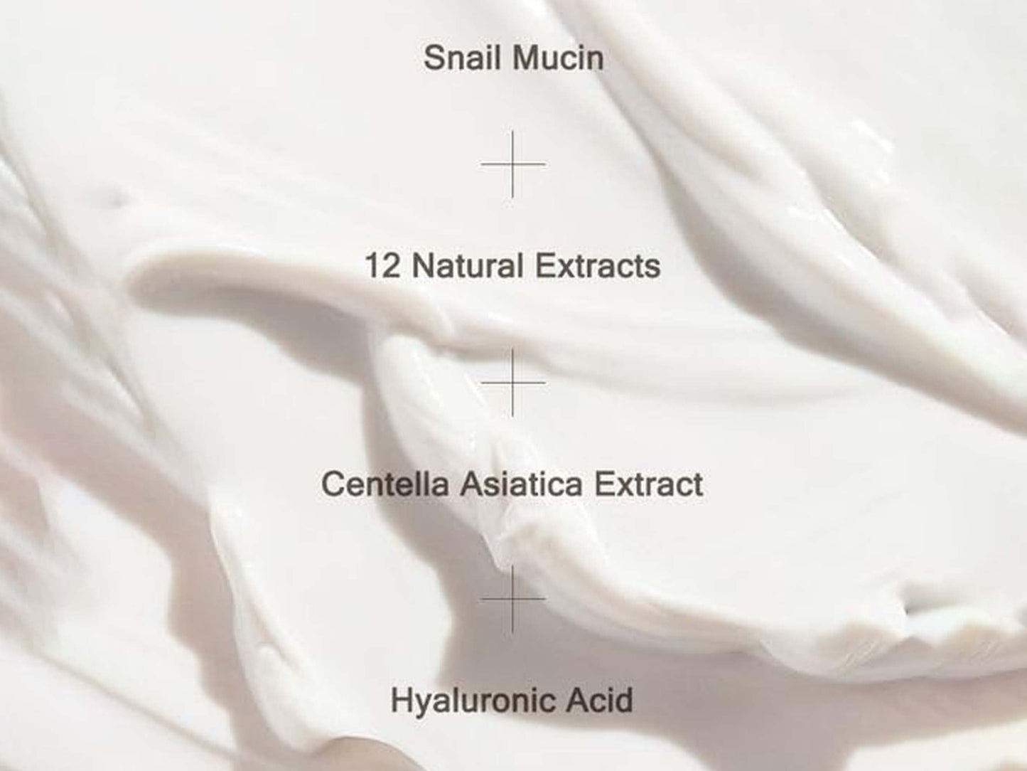 Mizon Multi Function Formula All In One Snail Repair Cream