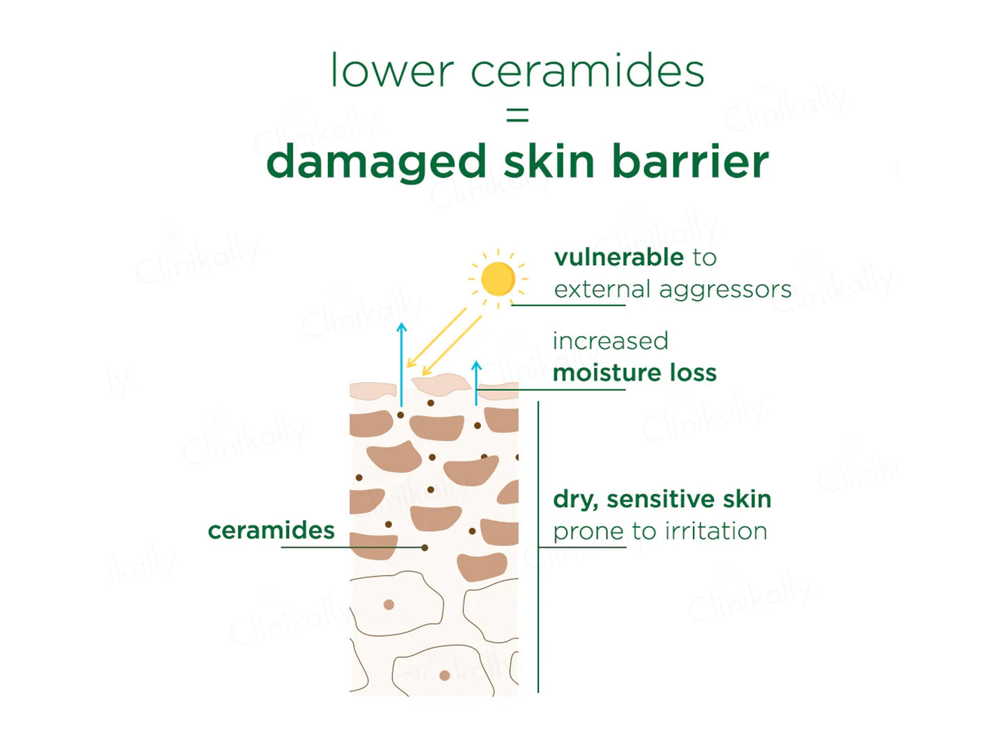 Simple Active Skin Barrier Care Soothing Water Creme