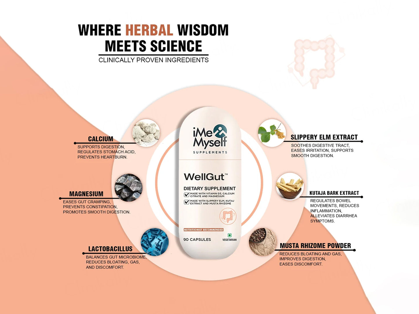 iMeMyself Well Gut Dietary Supplement Vegetarian Capsule