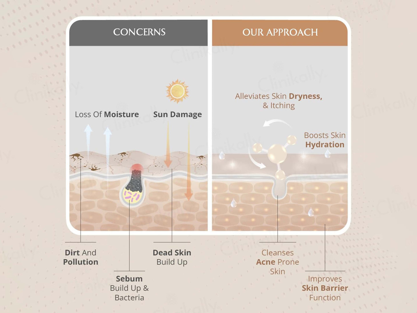 Areoveda Foam Face Wash