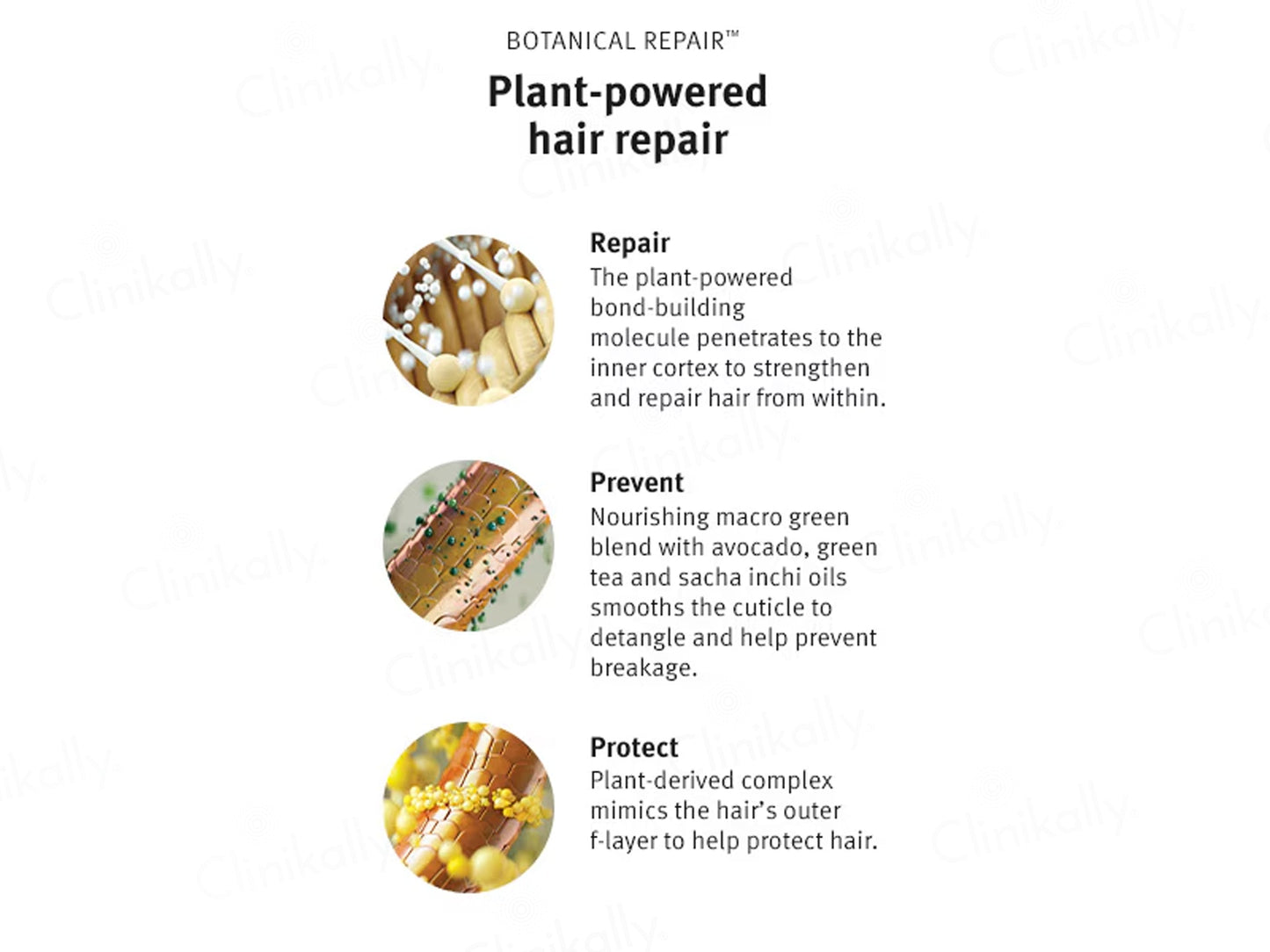 Aveda Botanical Repair Strengthening Shampoo