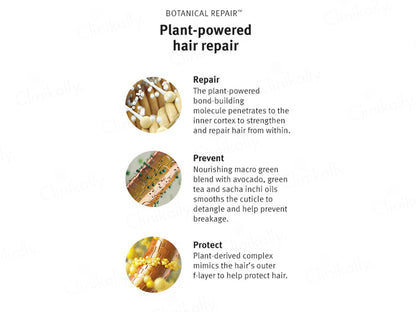 Aveda Botanical Repair Strengthening Shampoo