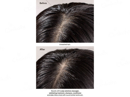 Aveda Scalp Solutions Balancing Shampoo