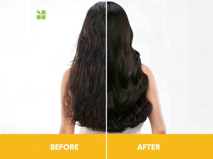 Biolage Professional Smoothproof Camellia Anti-Frizz Shampoo