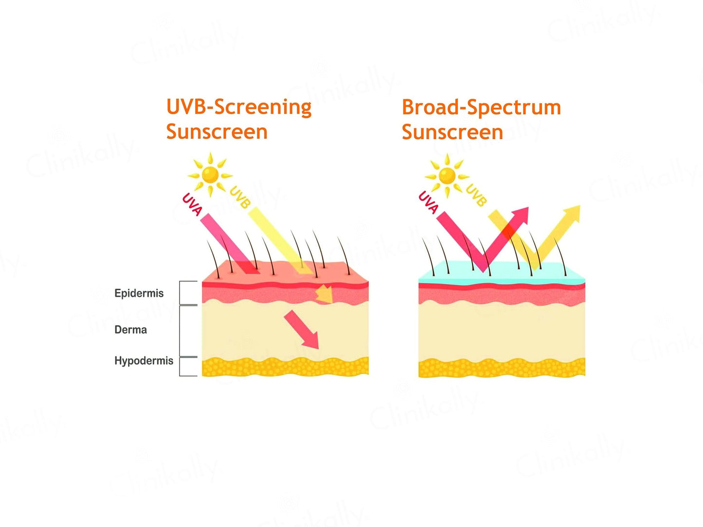 Fasderma Protective Broad Spectrum Water Resistence Sunscreen SPF 50 PA++++