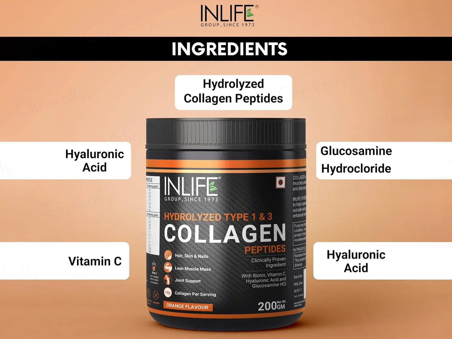 Inlife Japanese Hydrolyzed Type 1 & 3 Collagen Peptides Nutraceutical Powder