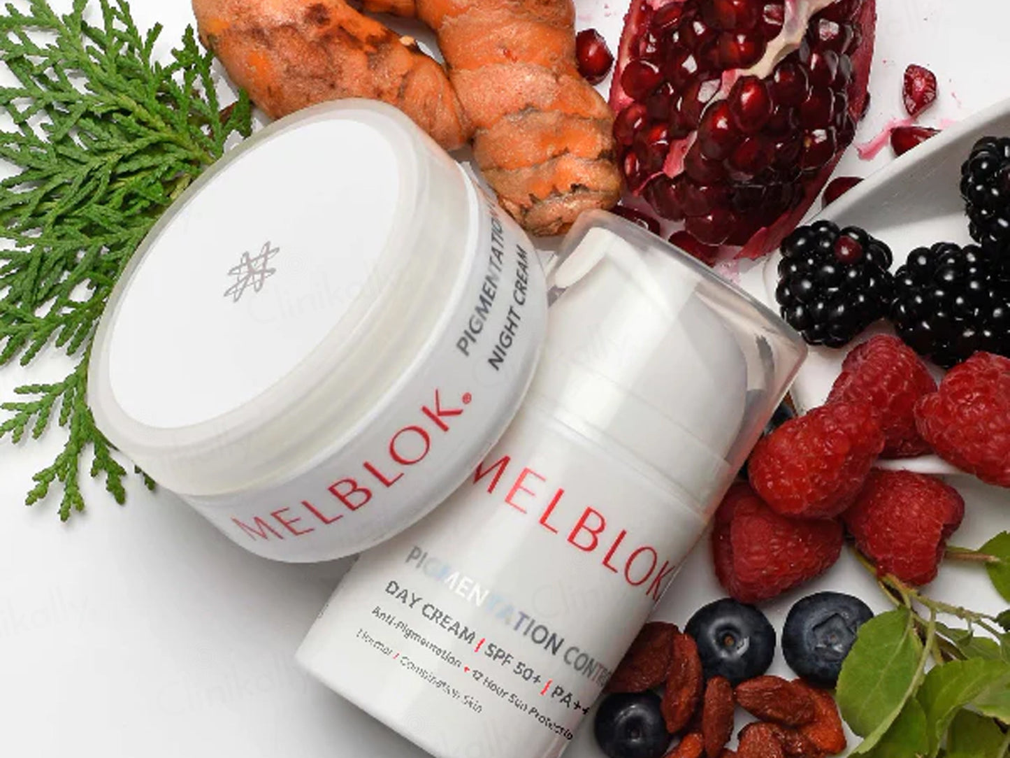 Melblok Pigmentation Control Day & Night System