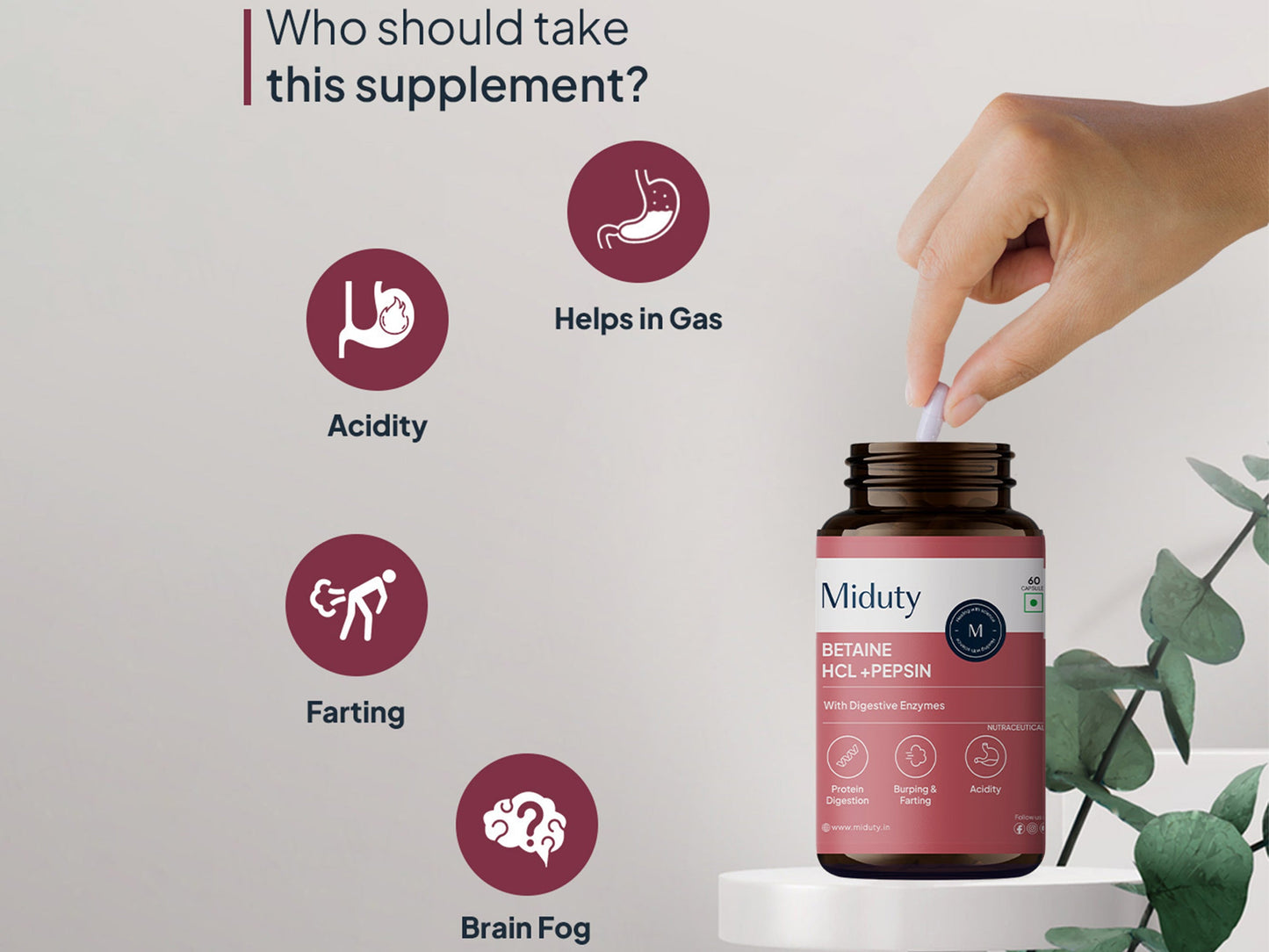 Miduty Betaine HCl + Pepsin Capsule