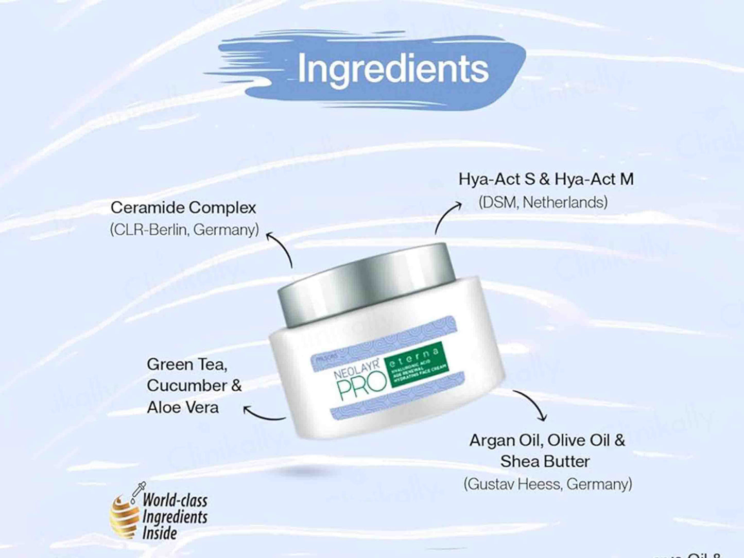 Neolayr Pro Eterna Hyaluronic Age Renewal Hydrating Face Cream