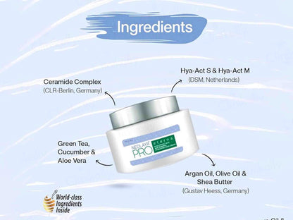 Neolayr Pro Eterna Hyaluronic Age Renewal Hydrating Face Cream