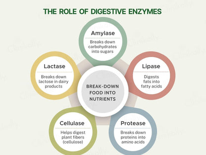Pure Nutrition Digestive Enzymes With Bromelain Veg Capsule