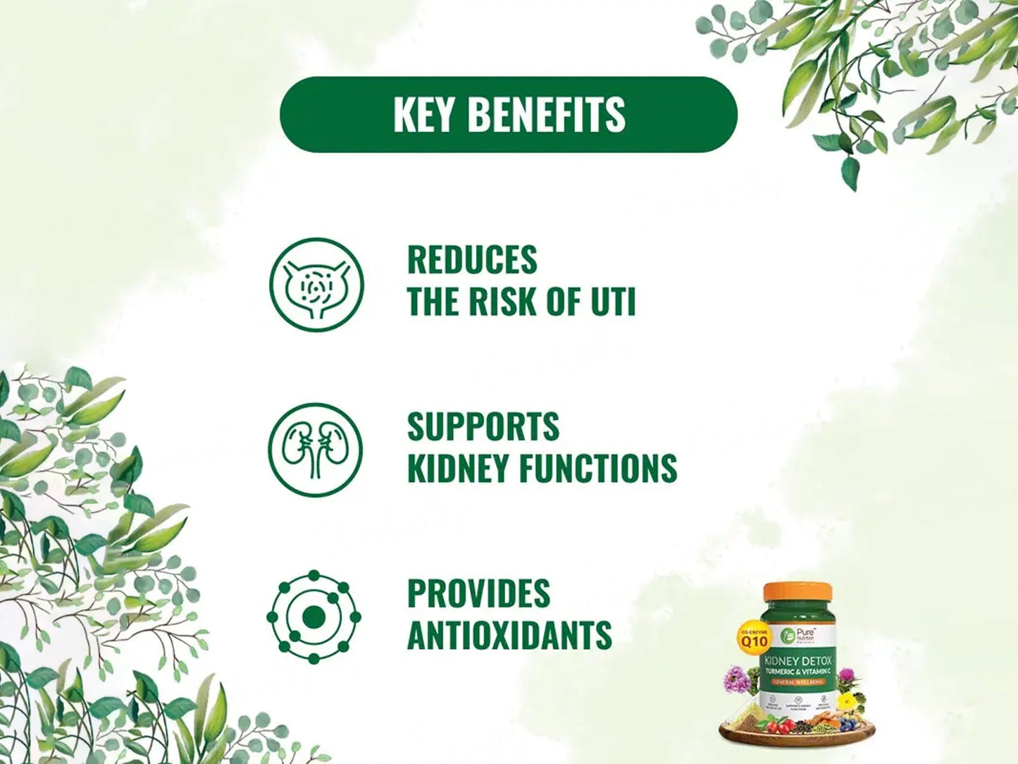 Pure Nutrition Kidney Detox Turmeric & Vitamin C Veg Capsule