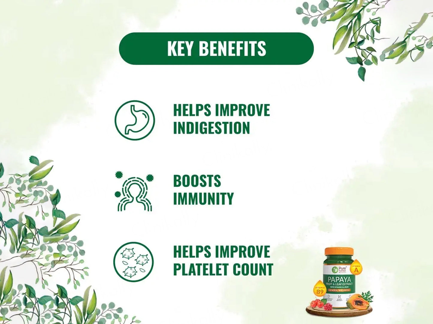 Pure Nutrition Papaya Fruit & Leaf Extract With Vitamin A & Iron Veg Tablet