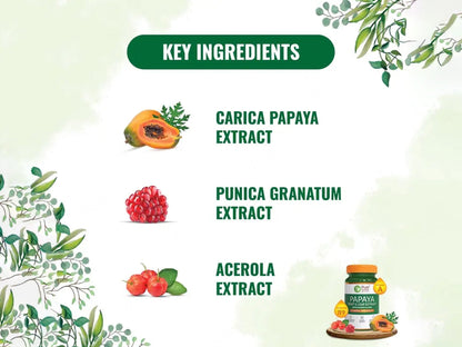 Pure Nutrition Papaya Fruit & Leaf Extract With Vitamin A & Iron Veg Tablet