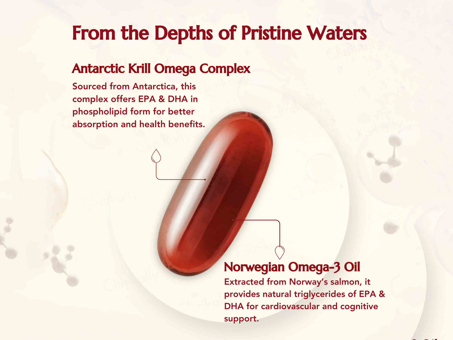 WishNew Wellness Krill Omega Complex Heart & Brain Health Softgel Capsule