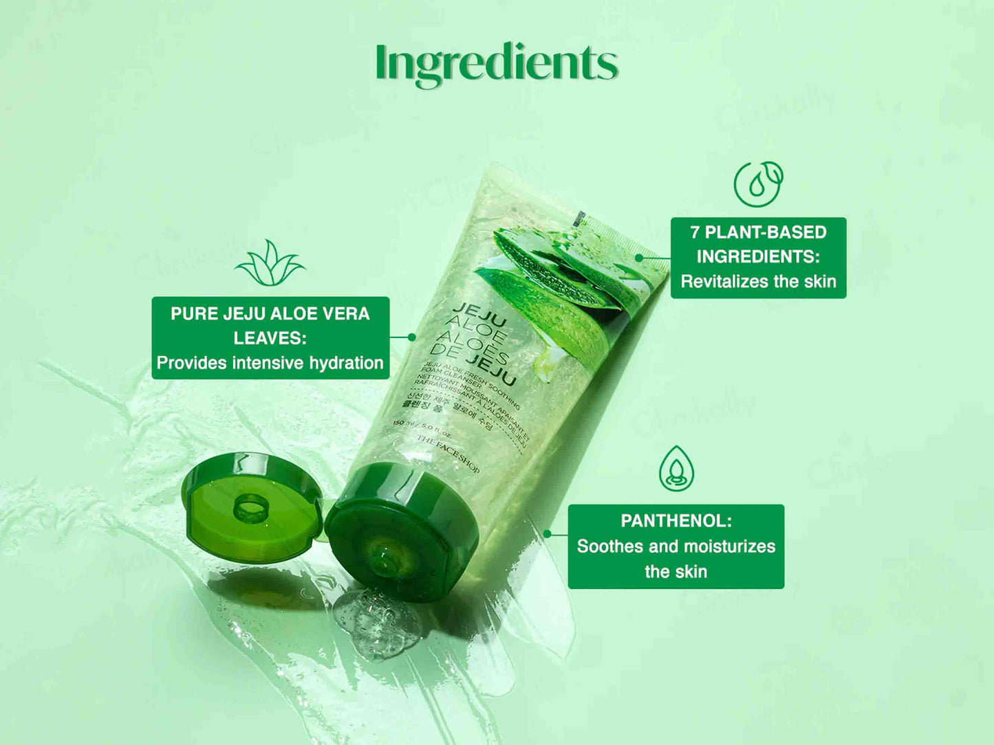The Face Shop Jeju Aloe Fresh Soothing Foam Cleanser
