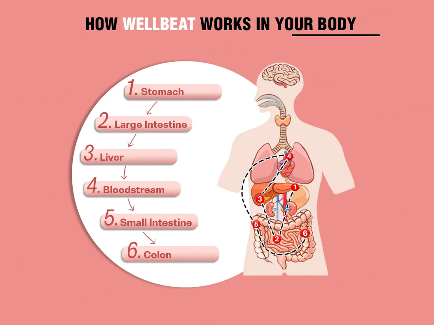 iMeMyself Well Beat Dietary Supplement Vegetarian Capsule