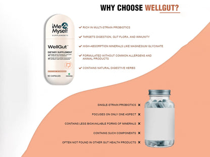 iMeMyself Well Gut Dietary Supplement Vegetarian Capsule
