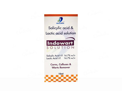 Indowart Solution